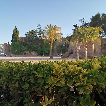 Villa Ardjoeno Mandelieu エクステリア 写真
